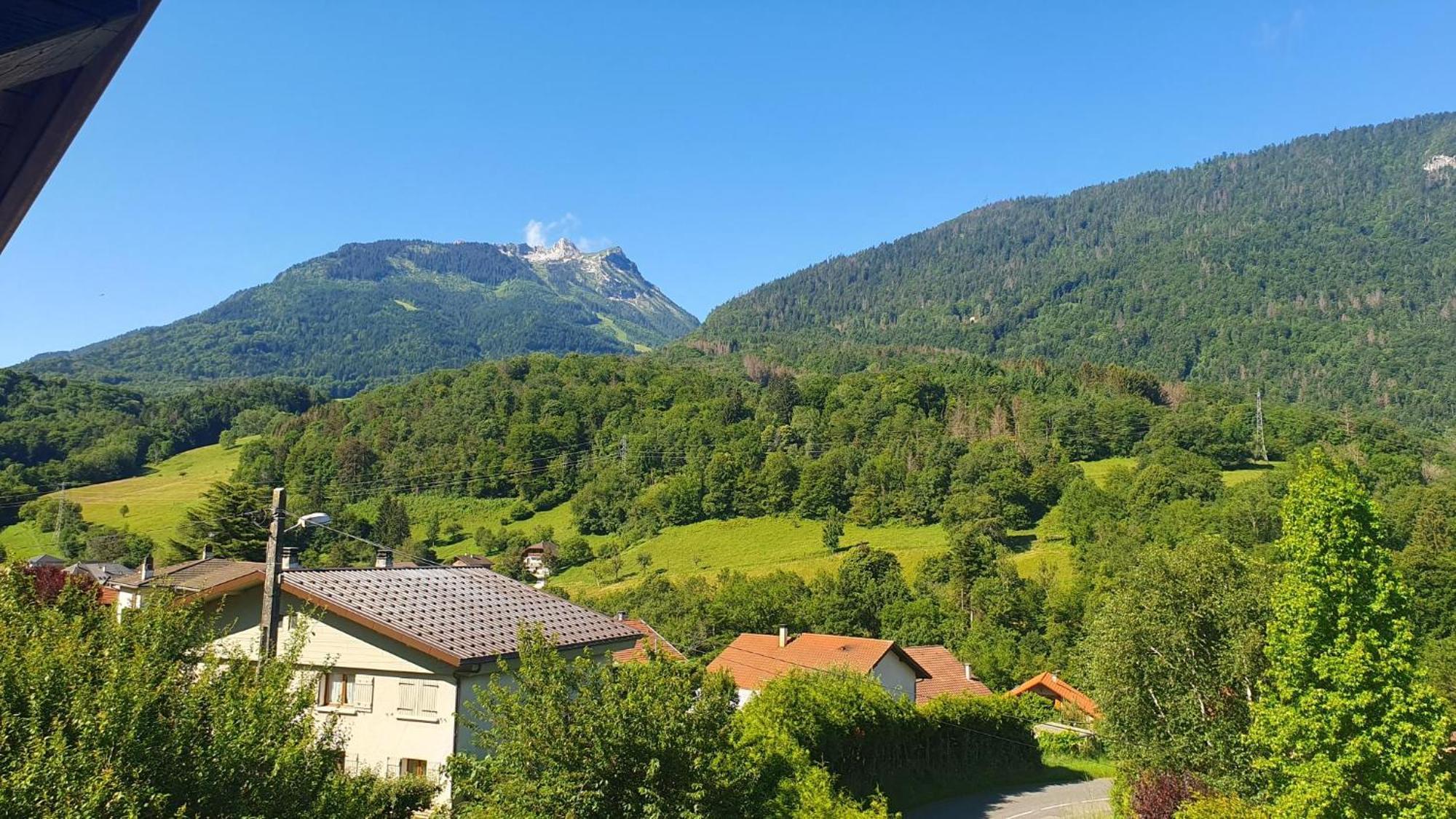Agreable T3 Entre Lac Et Montagne Seythenex المظهر الخارجي الصورة